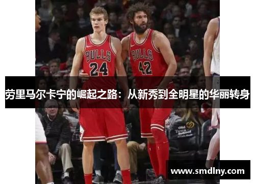 劳里马尔卡宁的崛起之路：从新秀到全明星的华丽转身