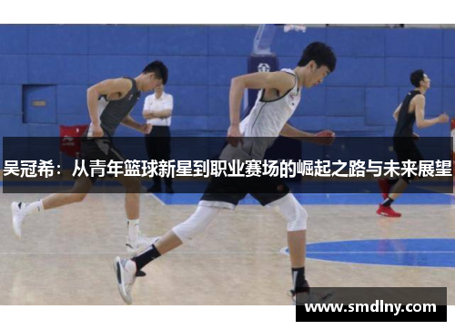 吴冠希：从青年篮球新星到职业赛场的崛起之路与未来展望