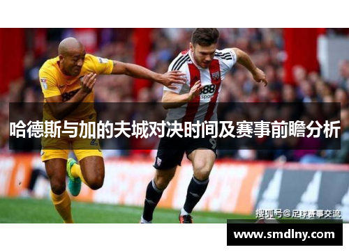 哈德斯与加的夫城对决时间及赛事前瞻分析