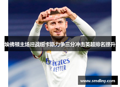 埃佛顿主场迎战纽卡斯力争三分冲击英超排名提升