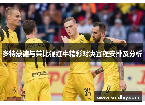多特蒙德与莱比锡红牛精彩对决赛程安排及分析