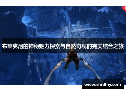 布莱克尼的神秘魅力探索与自然奇观的完美结合之旅