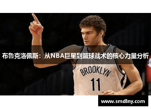 布鲁克洛佩斯：从NBA巨星到篮球战术的核心力量分析