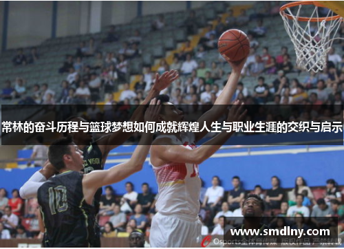 常林的奋斗历程与篮球梦想如何成就辉煌人生与职业生涯的交织与启示