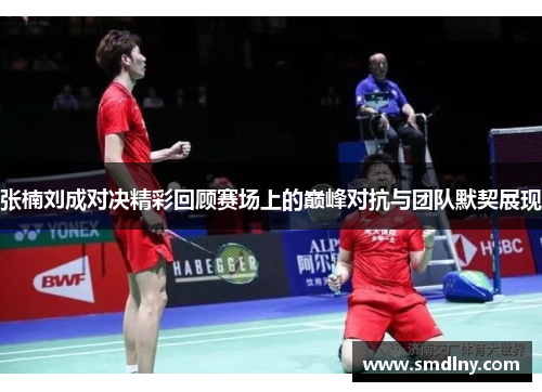 张楠刘成对决精彩回顾赛场上的巅峰对抗与团队默契展现