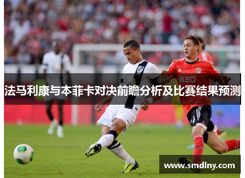 法马利康与本菲卡对决前瞻分析及比赛结果预测