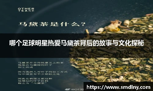 mk体育官方网站